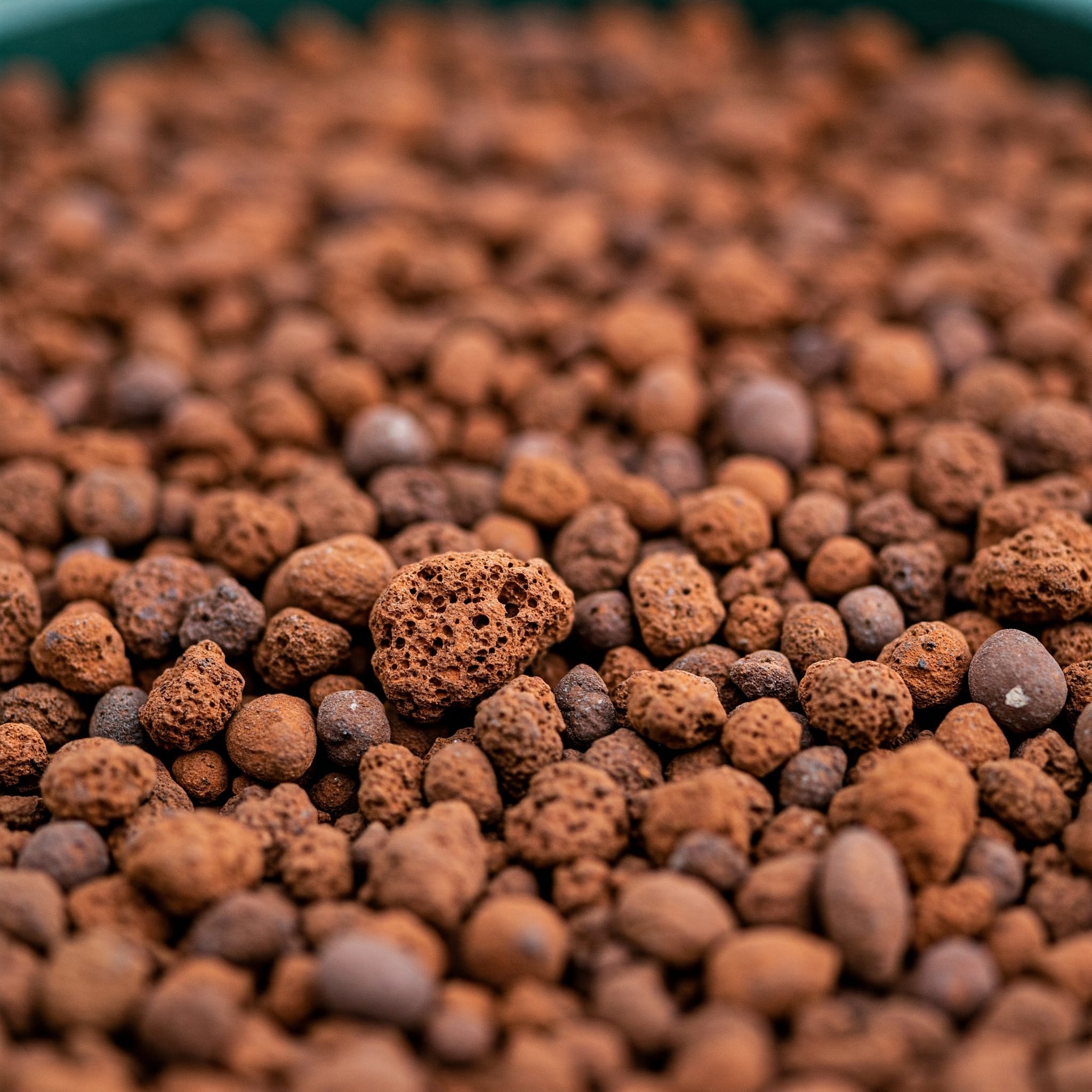 الليكا الزراعية