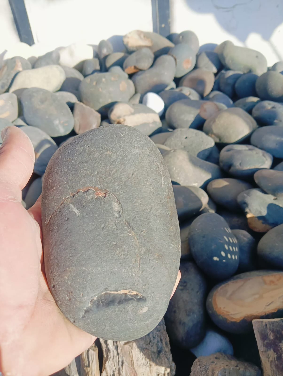 زلط أسود كبير الحجم لتنسيق أرضيات وأحواض الحدائق