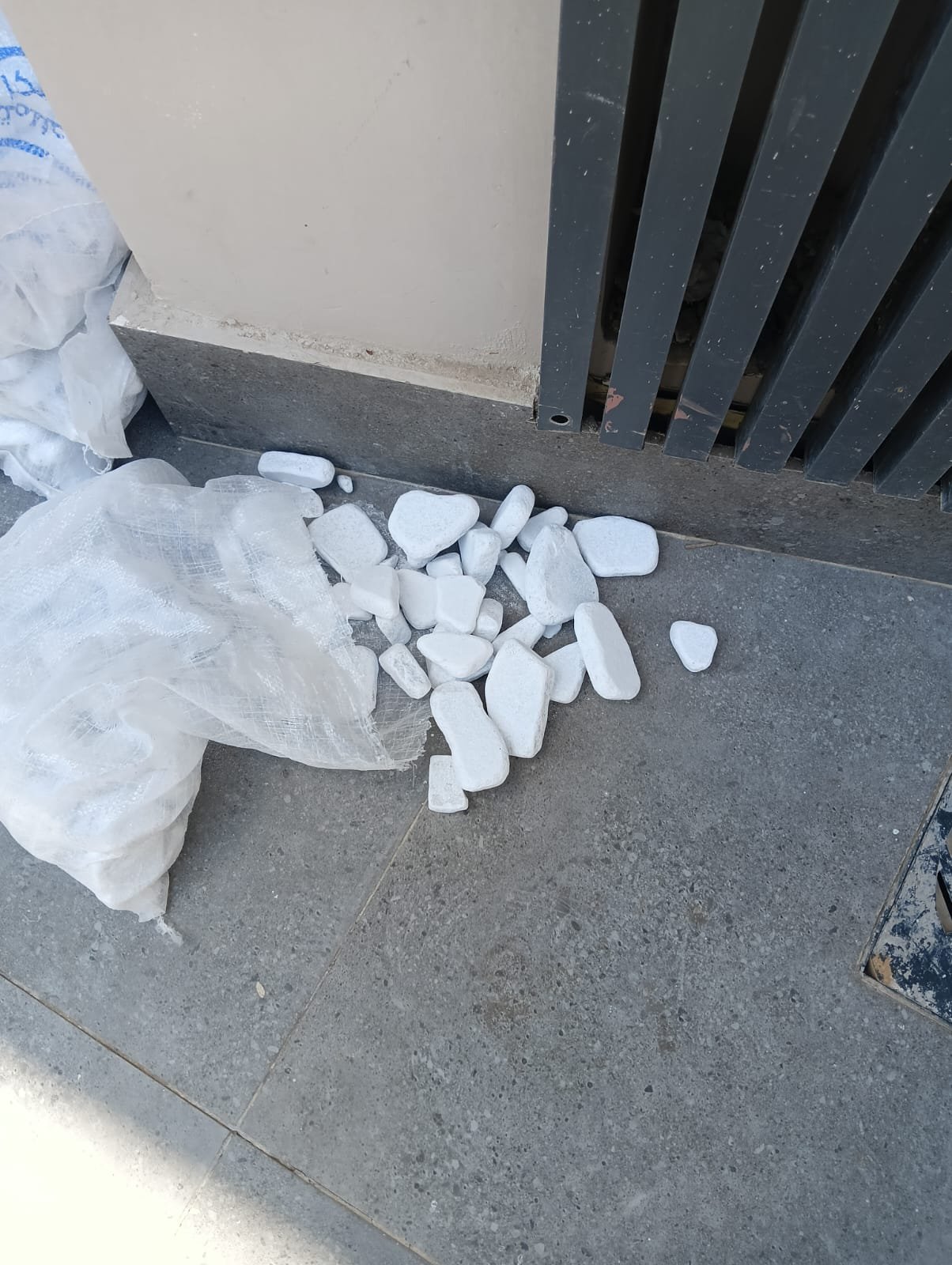 فرش زلط حدائق كرارة أبيض ناصع حول أحواض الأشجار في فيلا مودرن