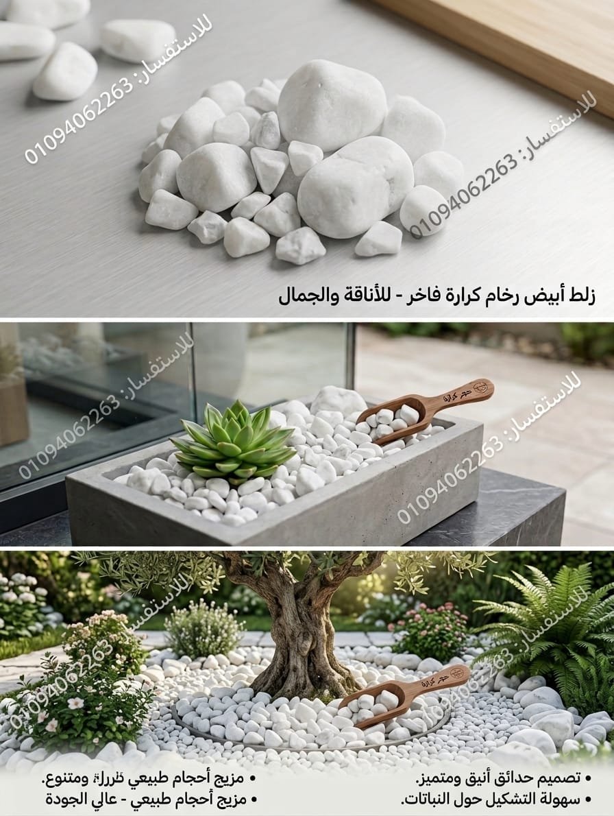 تطبيق زلط الكرارة الأبيض في تزيين أحواض النباتات الداخلية